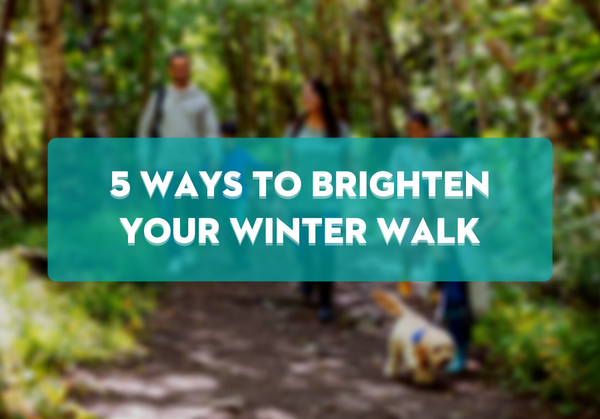 5 Ways to Brighten your Winter Walk